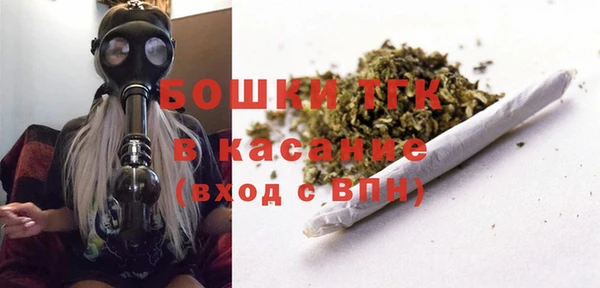 сатива Краснослободск