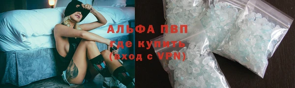 сатива Краснослободск