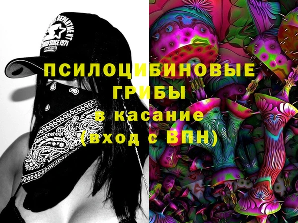 дурь Краснотурьинск