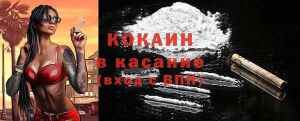 сатива Краснослободск