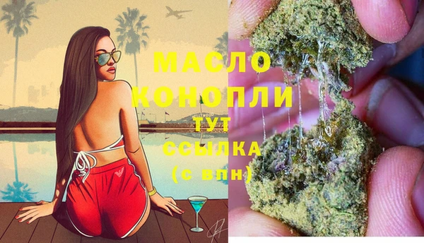 сатива Краснослободск