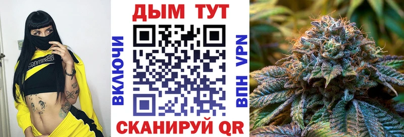 Шишки марихуана семена  Купить  Ершов 